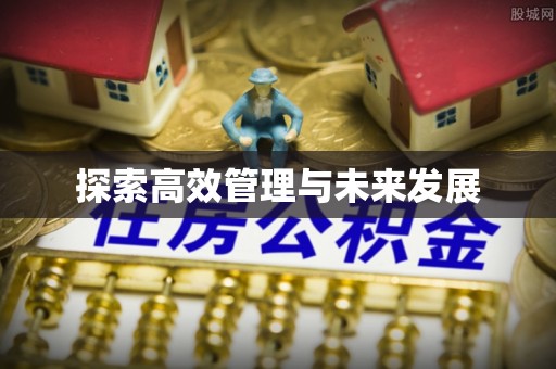 辽中探索高效管理与未来发展