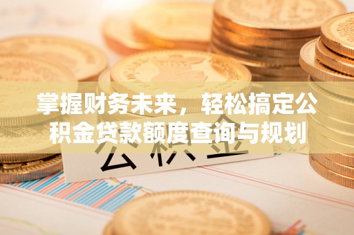 辽中掌握财务未来，轻松搞定公积金贷款额度查询与规划