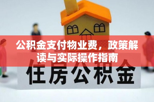辽中公积金支付物业费，政策解读与实际操作指南
