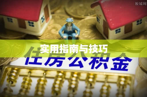 辽中实用指南与技巧