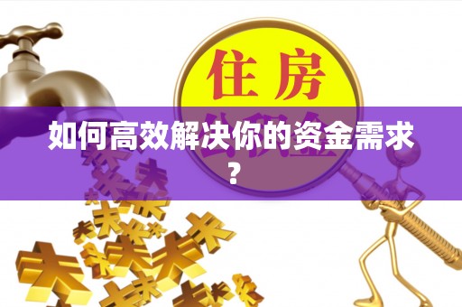 辽中如何高效解决你的资金需求？