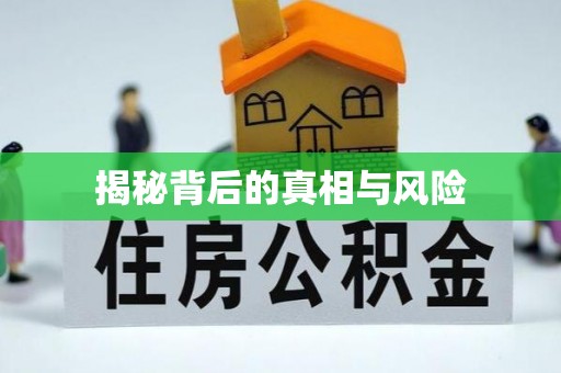 辽中揭秘背后的真相与风险