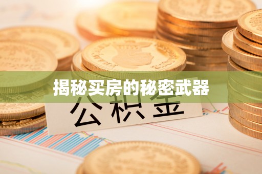 辽中揭秘买房的秘密武器