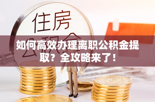 辽中如何高效办理离职公积金提取？全攻略来了！