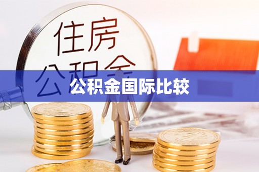 辽中公积金国际比较