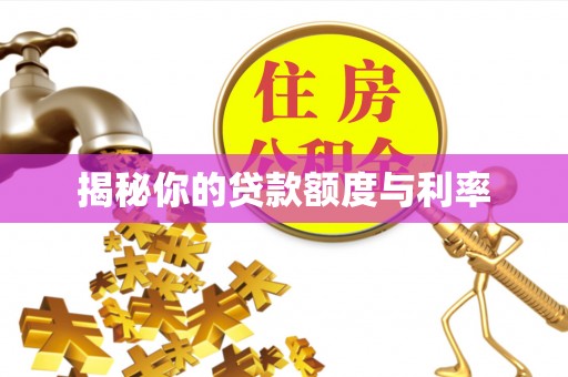 辽中揭秘你的贷款额度与利率