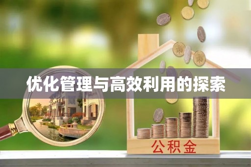 辽中优化管理与高效利用的探索