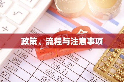 辽中政策、流程与注意事项