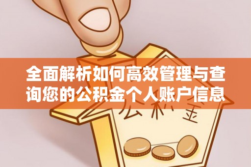 辽中全面解析如何高效管理与查询您的公积金个人账户信息