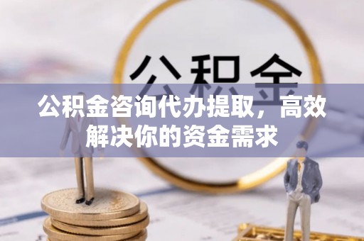 辽中公积金咨询代办提取，高效解决你的资金需求