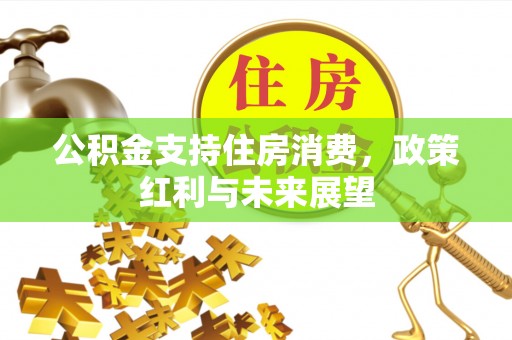 辽中公积金支持住房消费，政策红利与未来展望