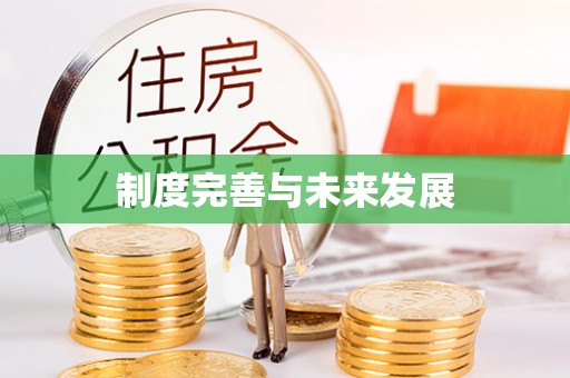 辽中制度完善与未来发展