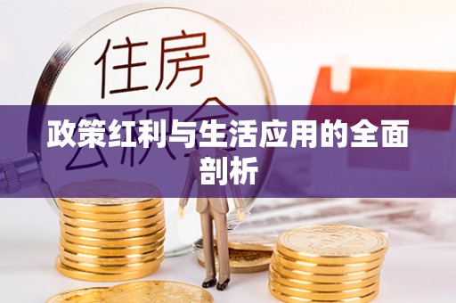 辽中政策红利与生活应用的全面剖析