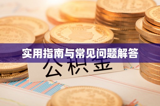 辽中实用指南与常见问题解答