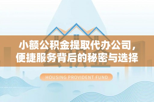 辽中小额公积金提取代办公司，便捷服务背后的秘密与选择指南