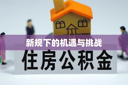 辽中新规下的机遇与挑战