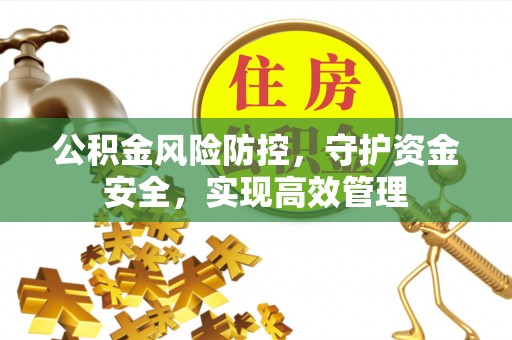 辽中公积金风险防控，守护资金安全，实现高效管理
