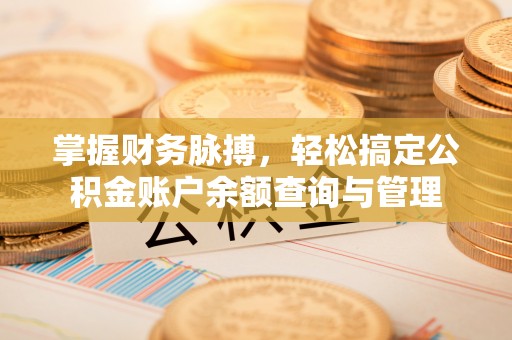 辽中掌握财务脉搏，轻松搞定公积金账户余额查询与管理