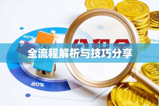 辽中全流程解析与技巧分享