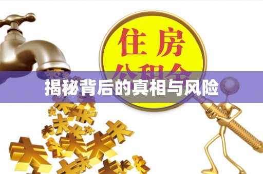 辽中揭秘背后的真相与风险