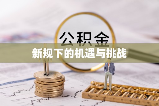 辽中新规下的机遇与挑战