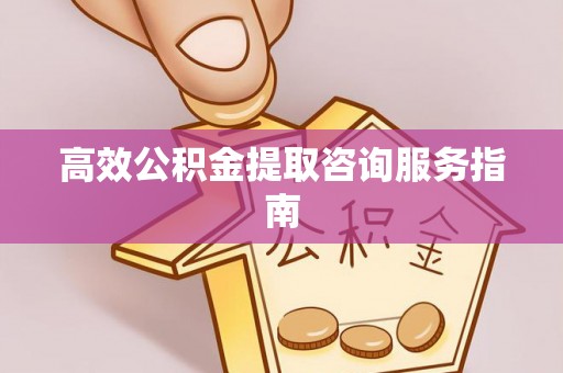 辽中高效公积金提取咨询服务指南