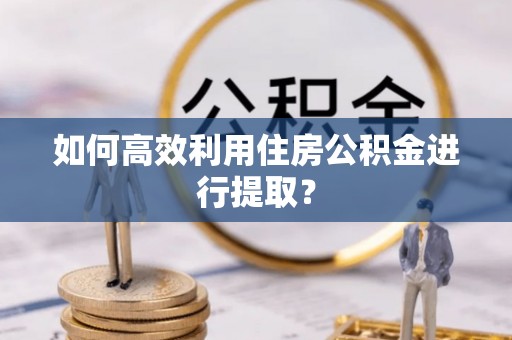 辽中如何高效利用住房公积金进行提取？