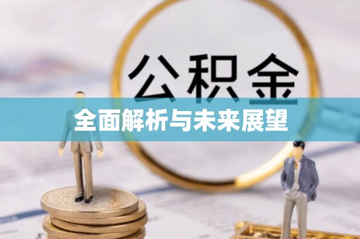 辽中全面解析与未来展望