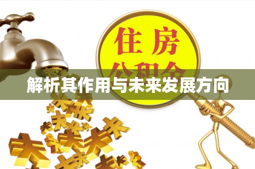 辽中解析其作用与未来发展方向