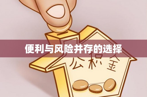 辽中便利与风险并存的选择