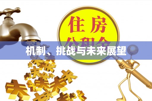 辽中机制、挑战与未来展望