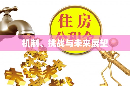 辽中机制、挑战与未来展望