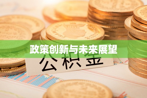 辽中政策创新与未来展望