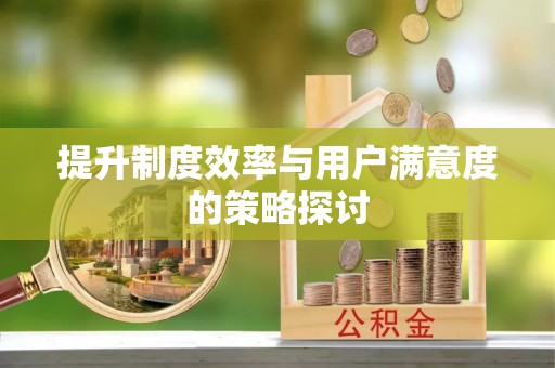 辽中提升制度效率与用户满意度的策略探讨